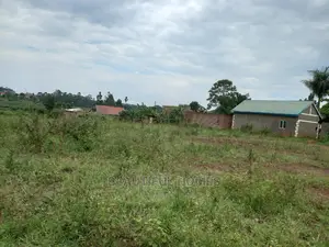 Nakwero Few Remaining Plots on Sell