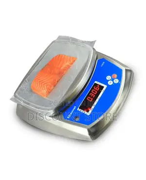 Professional Kitchen Waterproof Weighing Systems