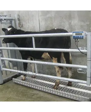 Mild Stainless Agricultural Animal Weighing Systems
