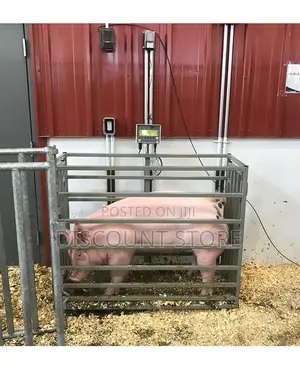 Healthy Pig Weighing Systems.