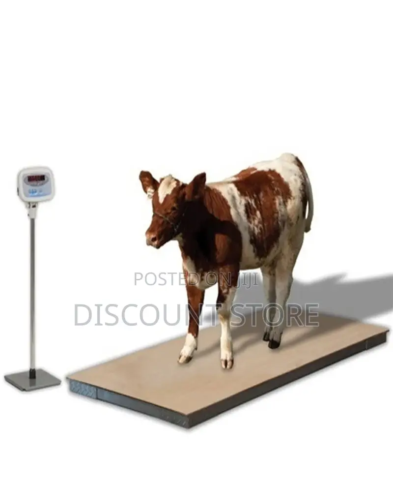 Cattle Traders Digital Weighing Equipment.