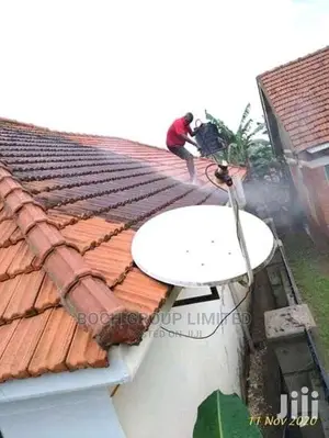 Fumigation And Pest Control