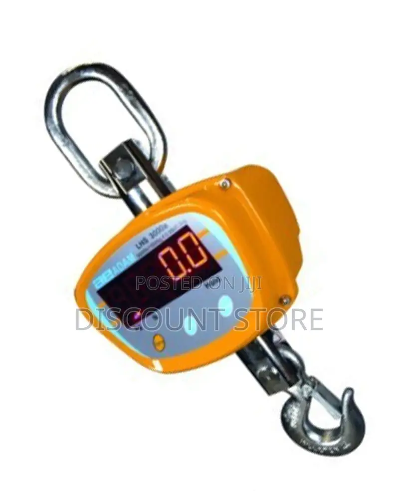 High Capacity Crane Electronic Weighing Systems.