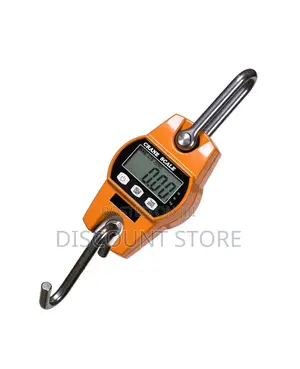 Standard 300kg Crane Weighing Machines Portable Weighing Scale.