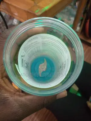 Portable Juice Blender