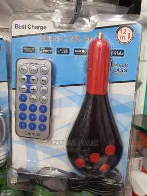 Mp3 Modulator And Adptive Fst Chging Micro USB Car Chrger