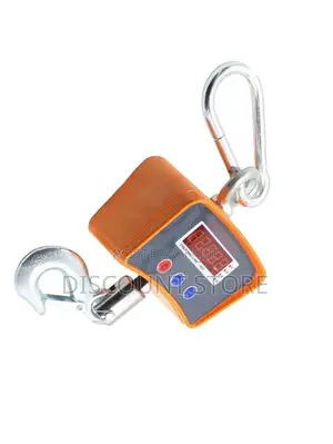 Electronic Data Lock Crane Weighing Systems.