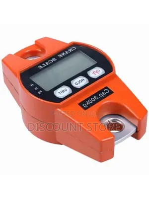 Heavy Duty 300kg Crane Weighing Scales.