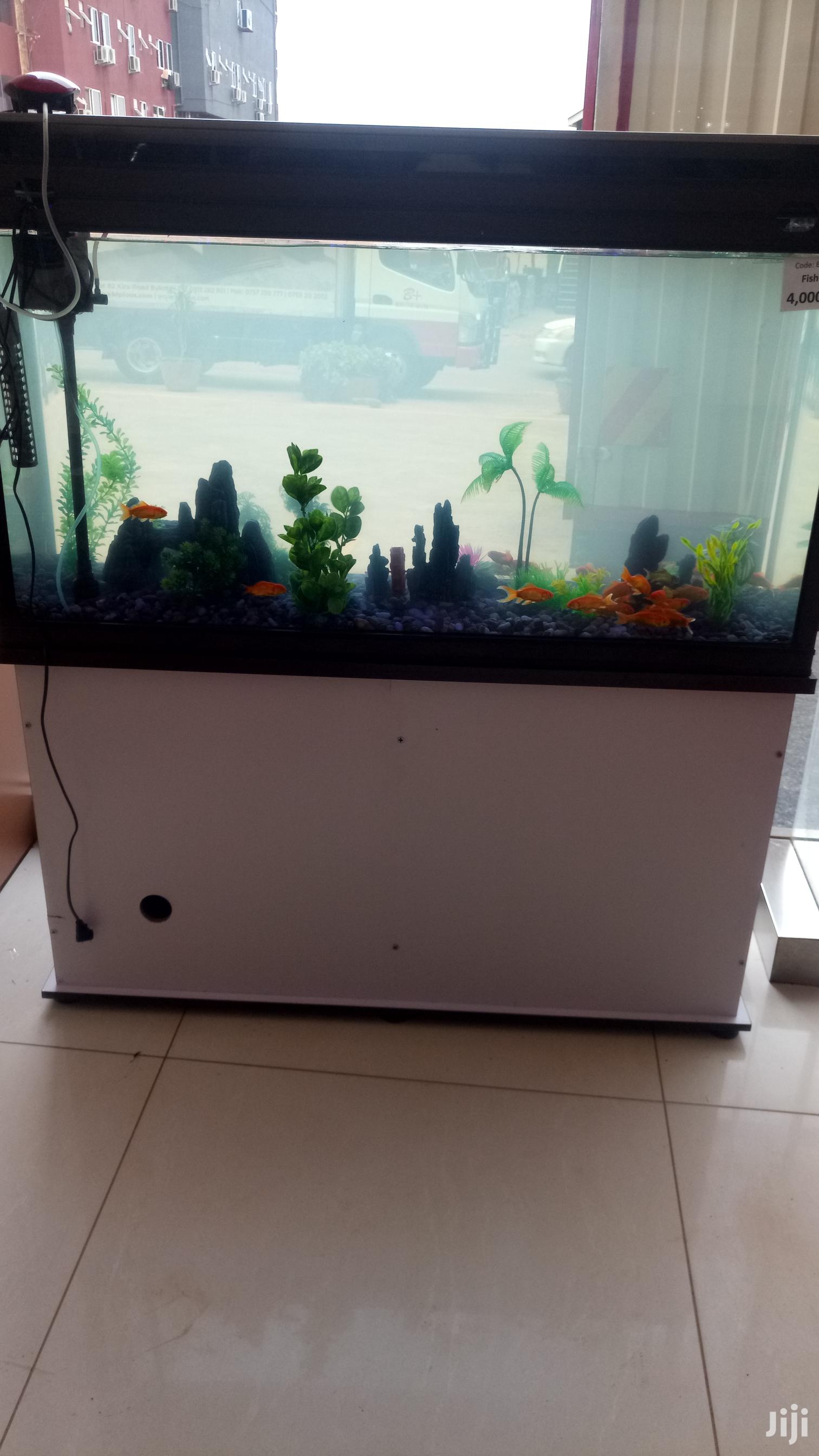Aquarium
