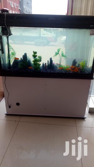 Aquarium