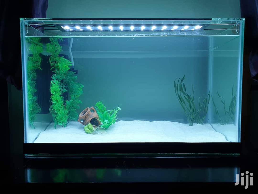 Aquarium
