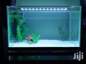 Aquarium