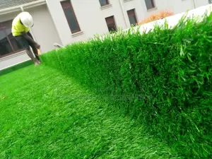Grass Carpet Grass Carpet Grass Carpet