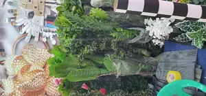 Modern Flowers