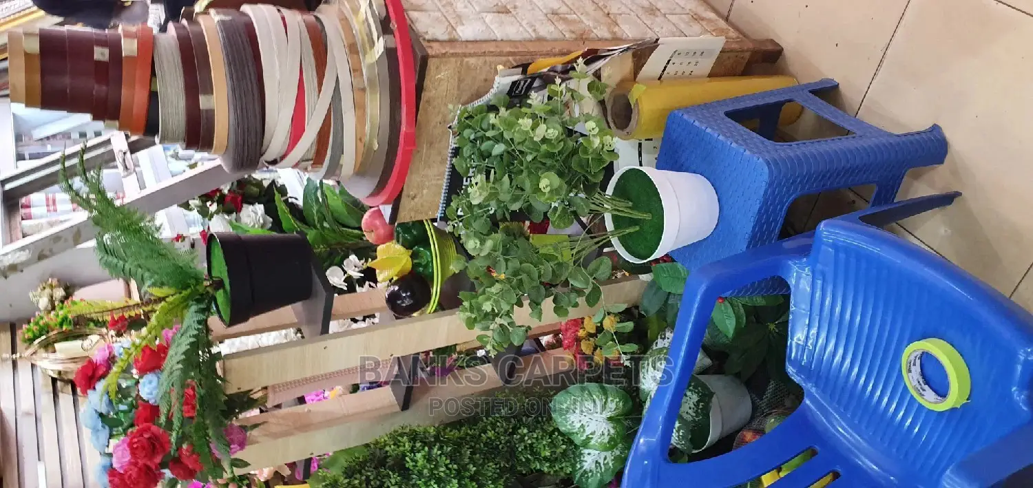 Flower Plants