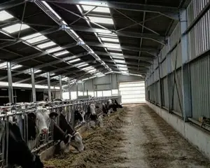 Steel Sheds
