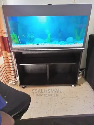 Exellent Aquarium With a Durable Wooden Stand