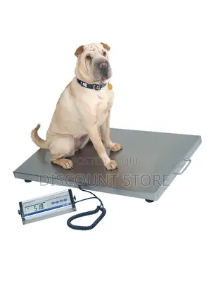Floor Platform Weighing Scale for Pets