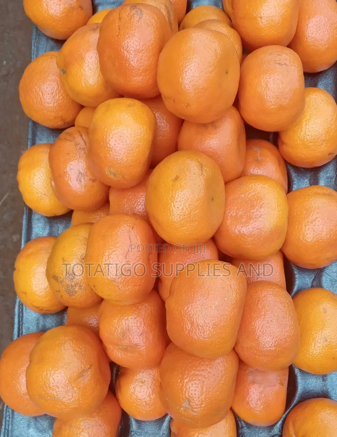 South African Sweet Tangerine