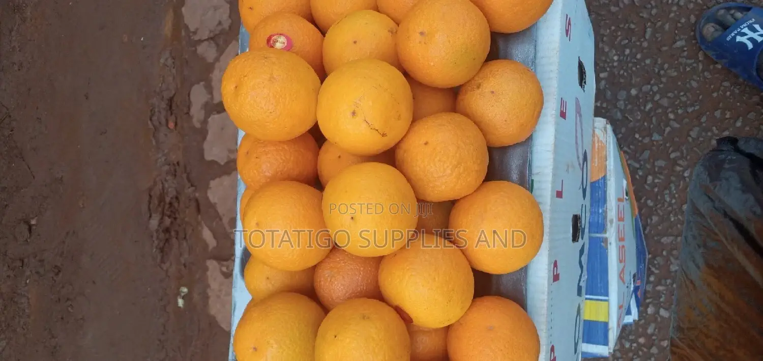 SWEET Oranges From South Africa or Egypt