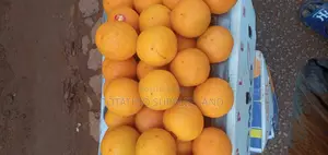 SWEET Oranges From South Africa or Egypt