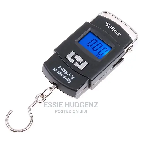 Portable Travel Scale