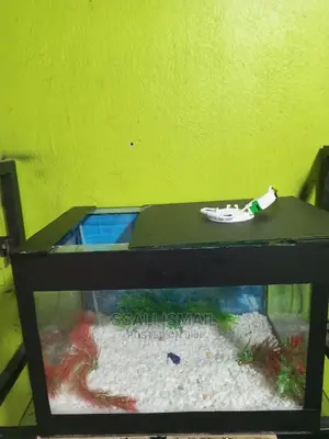 Cheape and Precise Aquarium