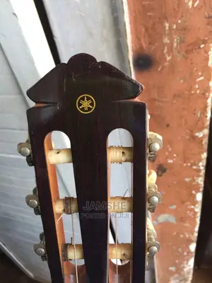 Acoustic Guitar