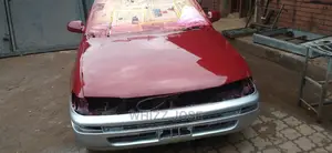 Spraying And Panel Beating