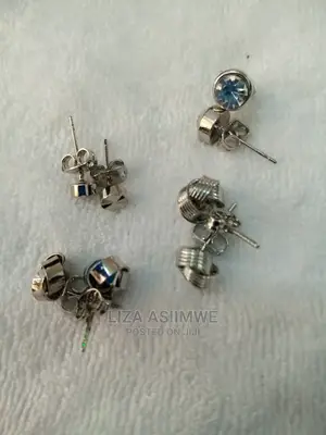 Quality Silver Simple Earpins
