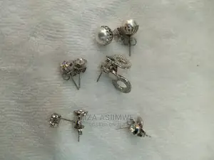 Quality Silver Simple Earpins