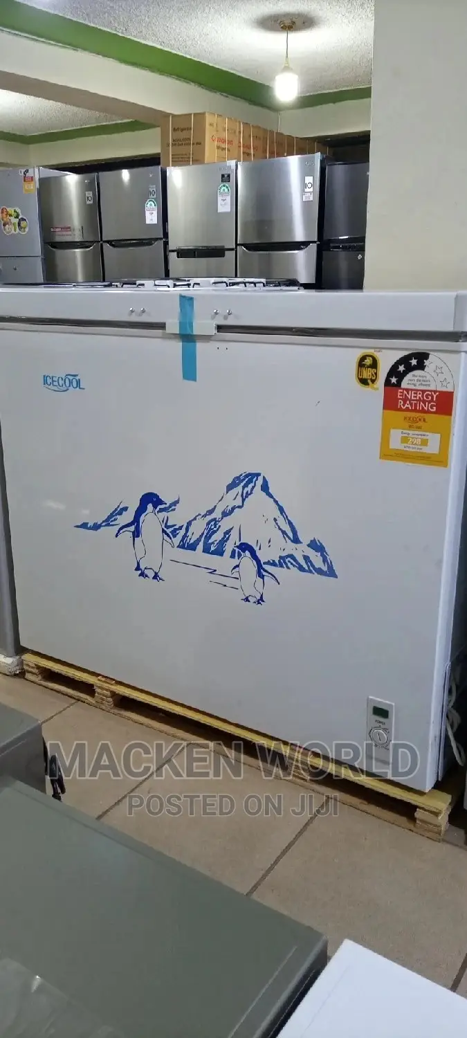300L Icecool Deep Freezer New
