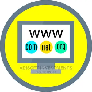 Professional Website Design and Networking Services