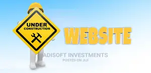Professional Website Design and Networking Services