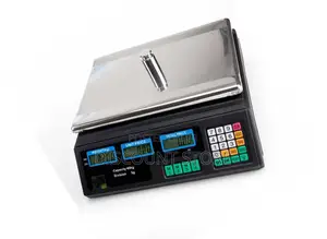 Calibrated E-Commercial Counting Weighing Equipment.
