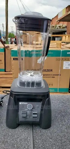 Hoffmans 3.0L Multifunction Wall Breaking Machine/Blender