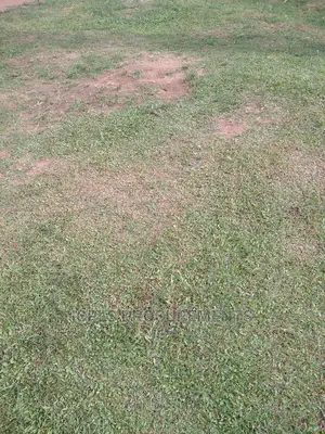 5 Free Hold Titled Plots in Soroti