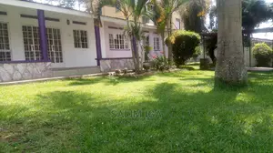 3bdrm Bungalow in Kololo Property, Central Division for Rent