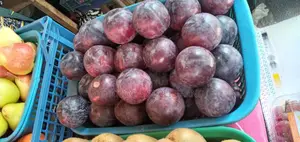 Plum Fruit