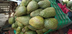 Staferi Fruit