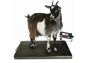 Farm Animal Platform Weighing Scales.