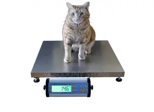 Stainless Digital Floor Weighing Scales for Pets.