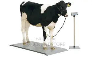Standard Scale Equipment for Weighing Cattle.
