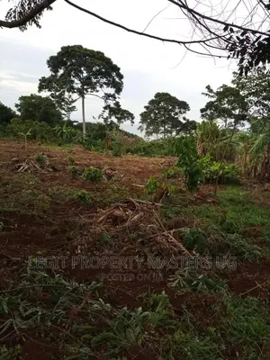 Cheap Land on Entebbe Road