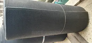 Sheet/Gym Carpets