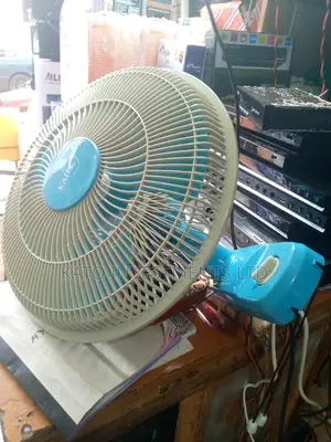 Kaile Wall Fan