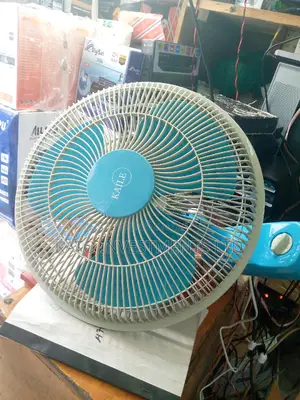 Kaile Wall Fan