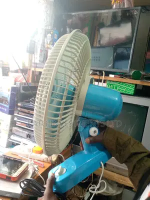 Kaile Wall Fan