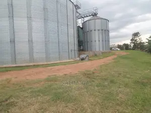 Seed Miller