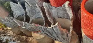 Natural Flowers Pots